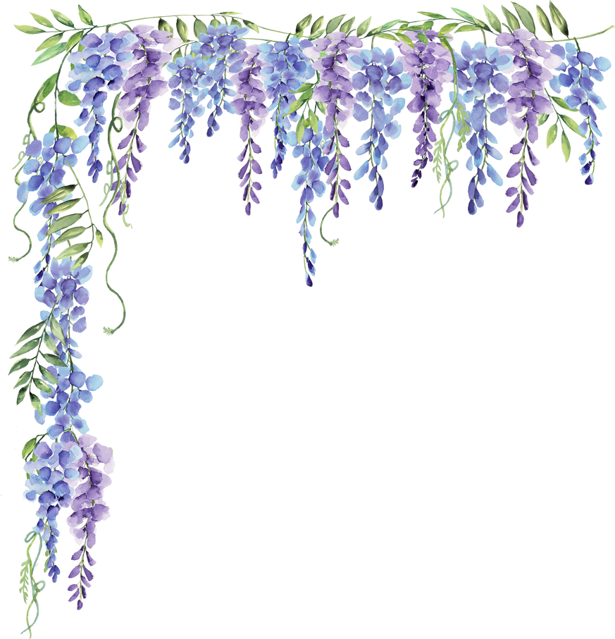 wisteria corner purple and blue flower watercolor