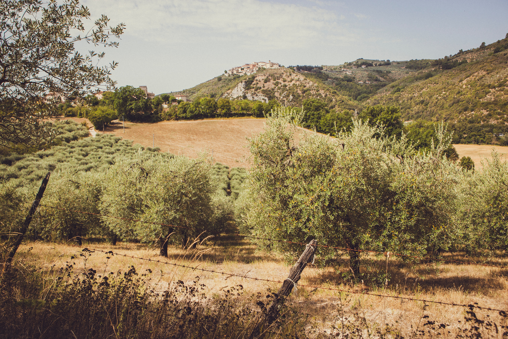 Vast Rolling Hills 